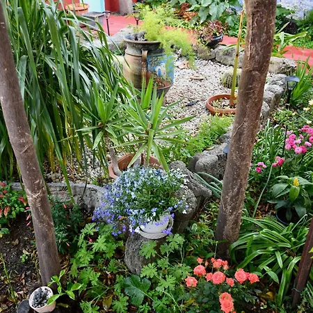 Dom wakacyjny Katia's