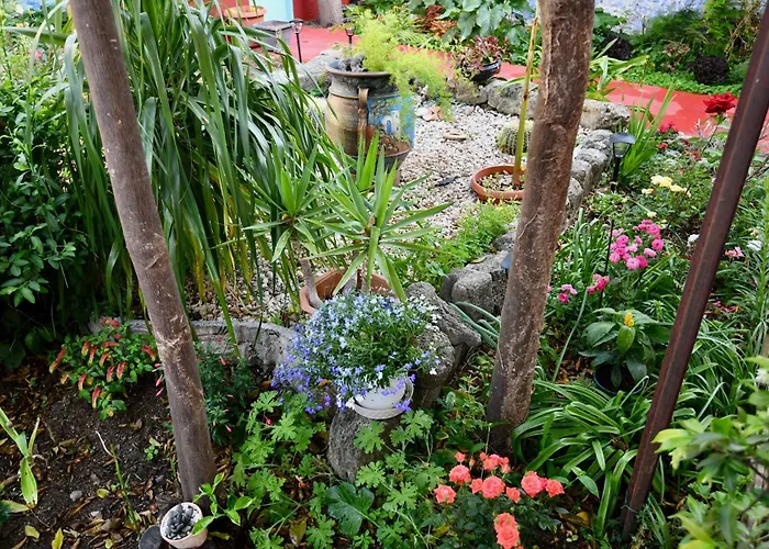 Casa de Férias Katia's